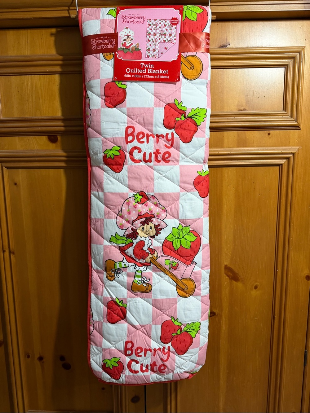 Strawberry Shortcake 'Berry Cute' Twin Quilted Blanket - Pink & Red